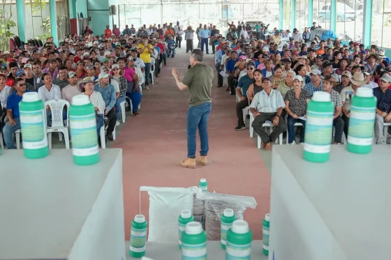 600 agricultores arroceros de Colimes reducen su carga económica y fortalecen sus cultivos con la entrega gratuita de insumos